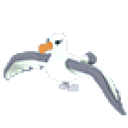Albatross