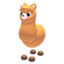 Alpaca
