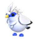 Bali Starling