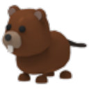 Beaver