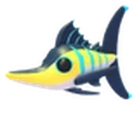 Black Marlin