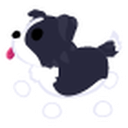 Border Collie Sticker