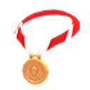 Bronze Medal