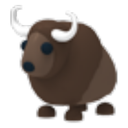Buffalo