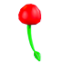 Cherry Balloon