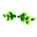 Eco Green Vine Mustache