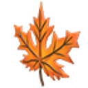 Eco Orange Maple Headpiece