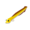 Eel