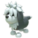 English Sheepdog