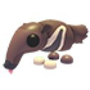 Giant Anteater