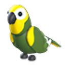 Green Amazon
