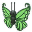 Green Butterfly