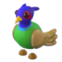 GreenChested Pheasant