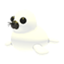 Harp Seal