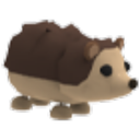Hedgehog