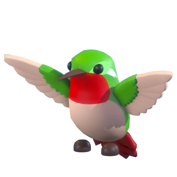Hummingbird
