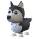 Husky