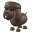 Irish Water Spaniel