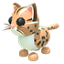 Leopard Cat