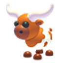 Longhorn Cow