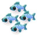 Many Mackerel