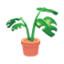 Monstera Plant Pot