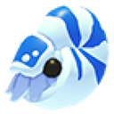 Nautilus