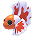 Orange Betta Fish