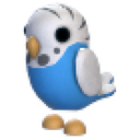 Parakeet