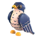 Peregrine Falcon