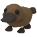 Platypus
