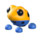 Poison Dart Frog