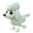 Poodle