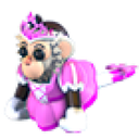 Princess Capuchin Monkey