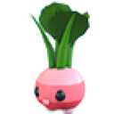 Radish Friend
