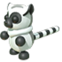 Ring-Tailed Lemur
