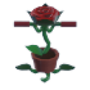 Rose Pogo