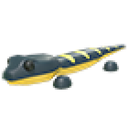 Salamander