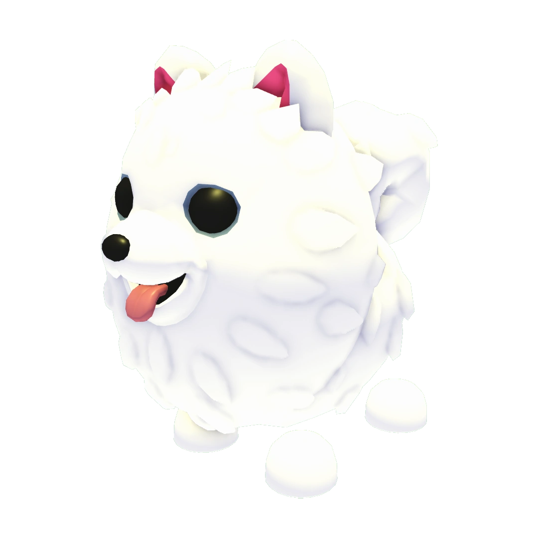 Samoyed