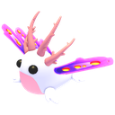 Sea Slug