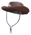 Sheriff Hat