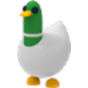 Silly Duck