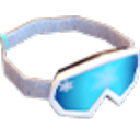 Ski Goggles