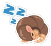 Sleepy Armadillo Sticker