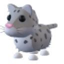 Snow Leopard