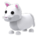 Snow Puma