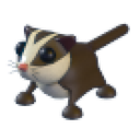 Sugar Glider