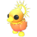 Sunrise Duckling