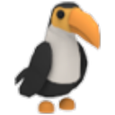 Toucan