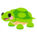 Turtle Sticker